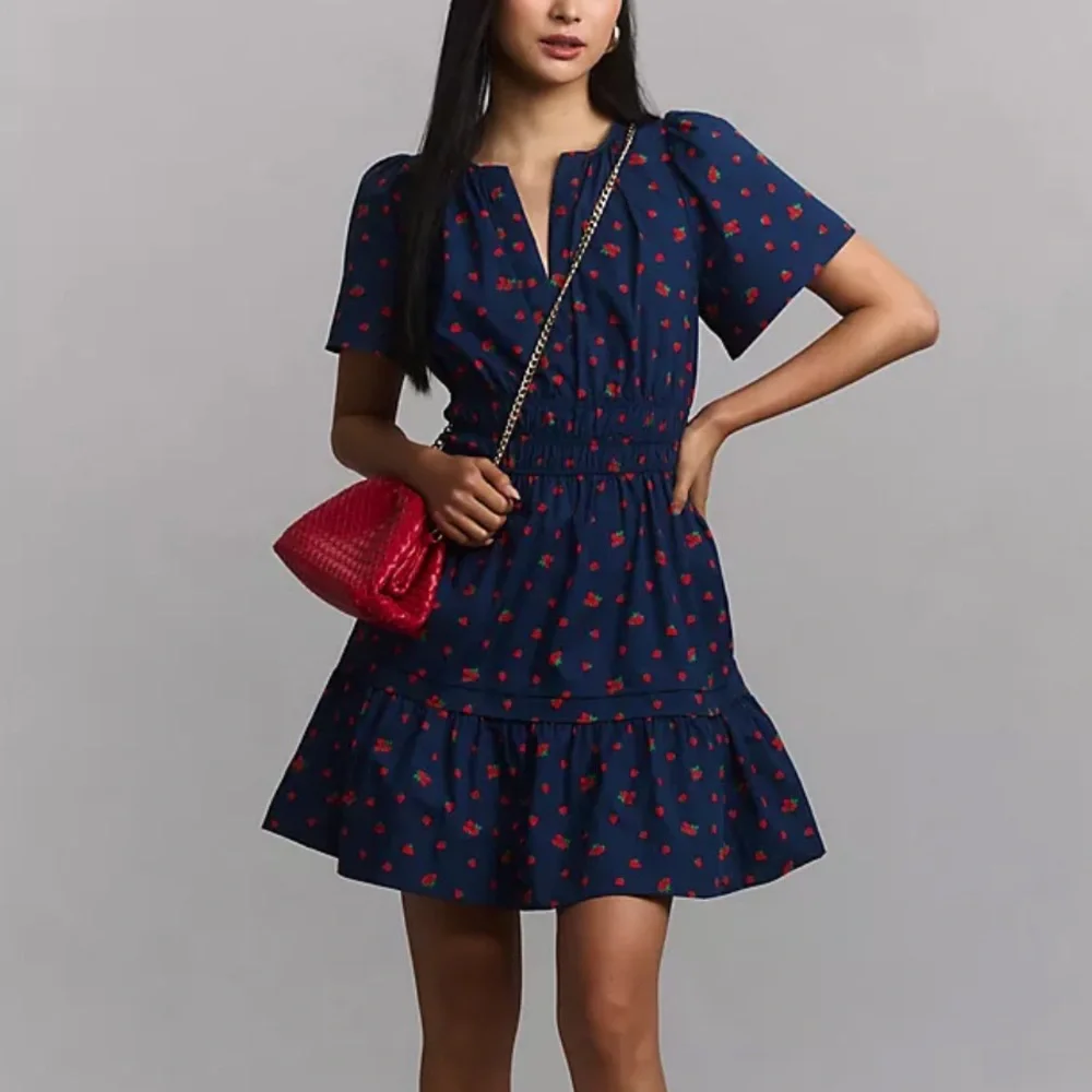 🍓NWT Anthropologie Somerset Strawberry Print Dress XL